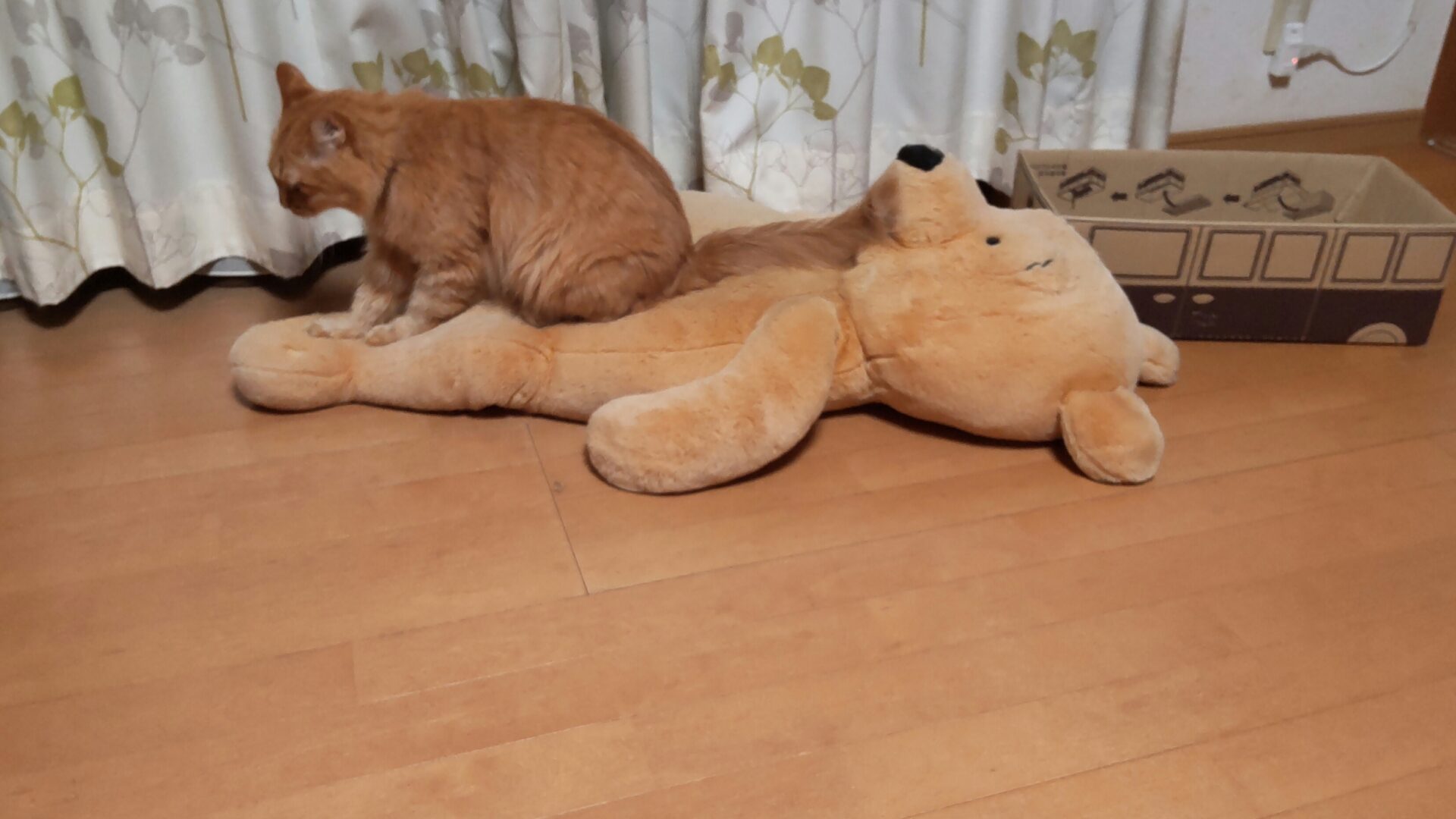 プーさんのぬいぐるみの上でふみふみする猫