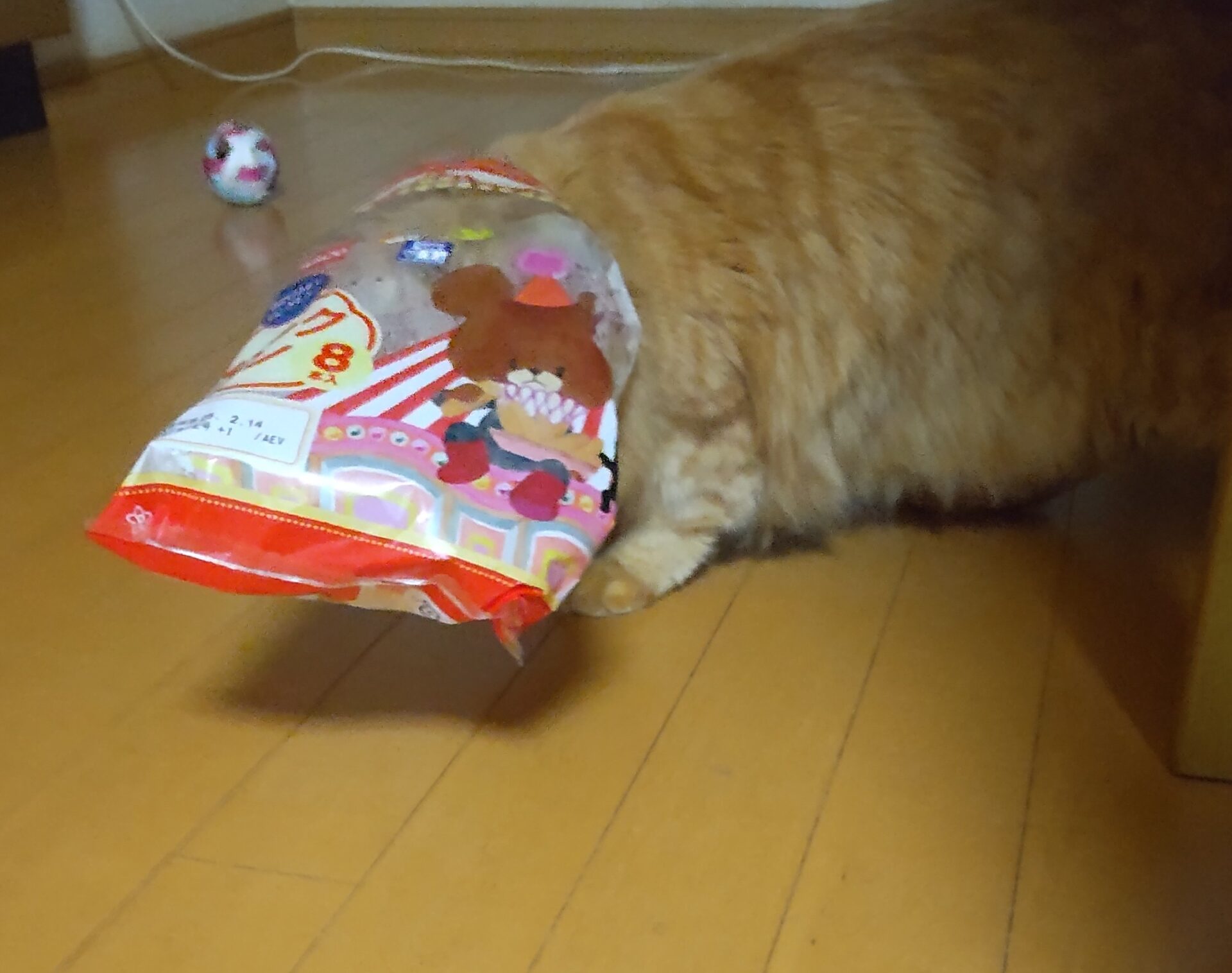 パンの袋に顔を突っ込むイチロー