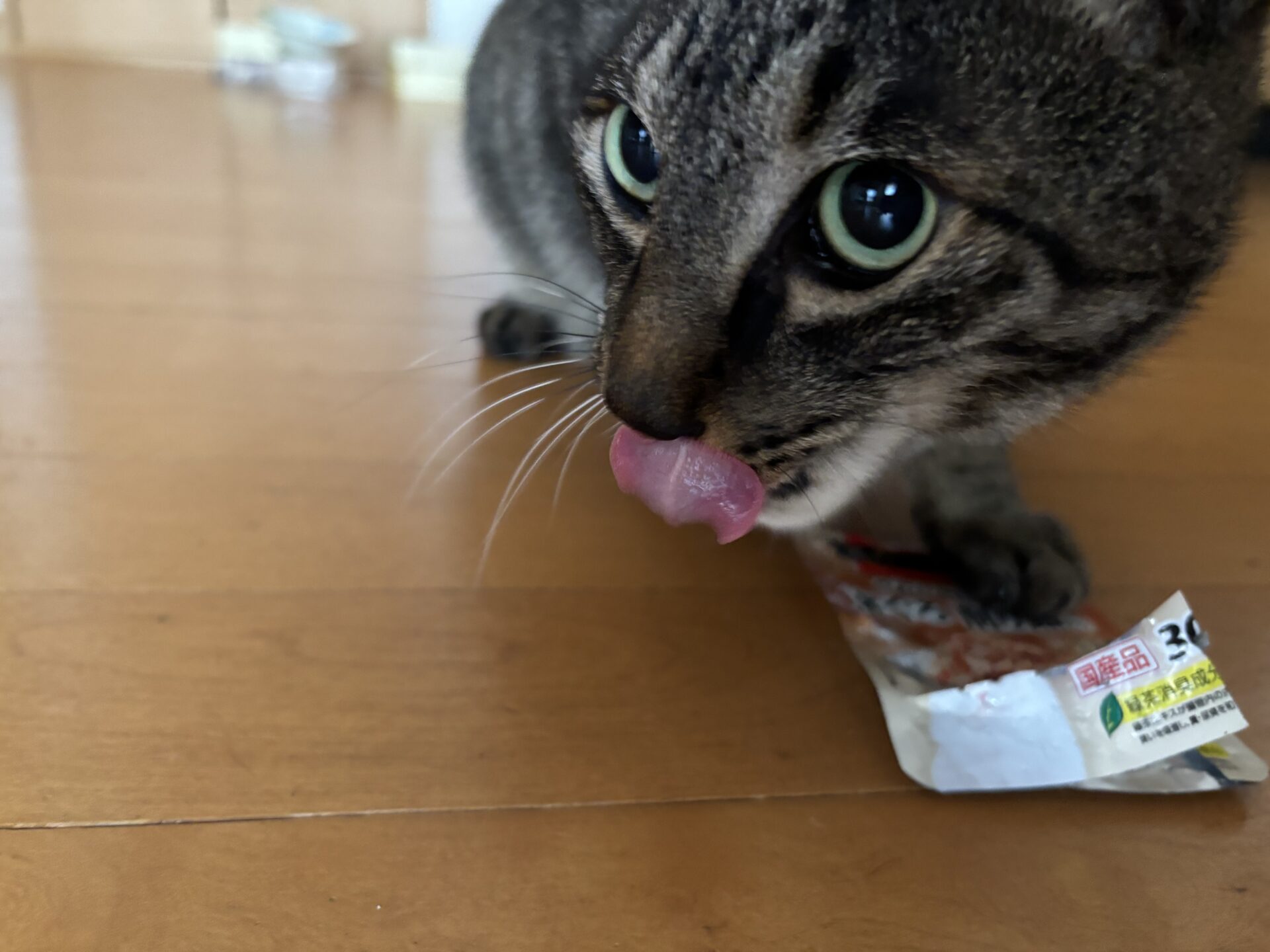 液状のおやつを堪能して舌なめずりするじゅんぺい