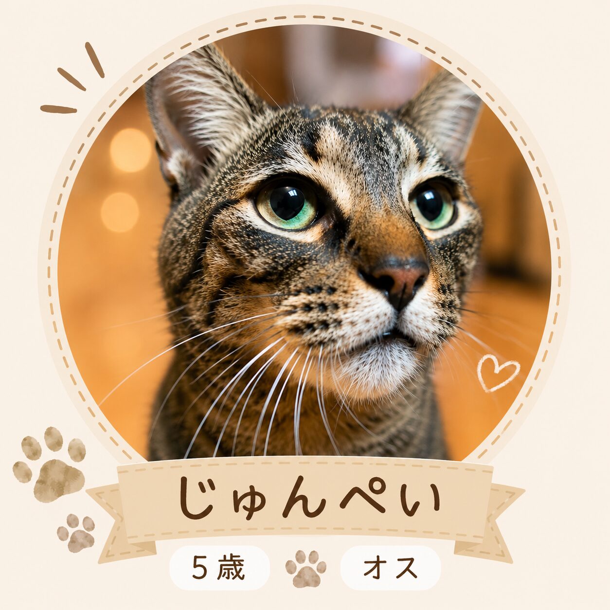 じゅんぺい