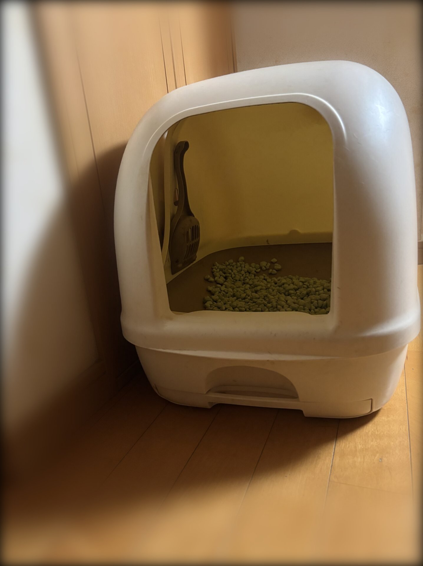 我が家の猫トイレ